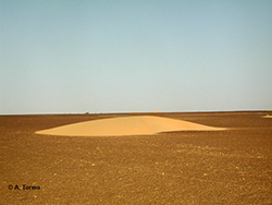 Sahara (13)